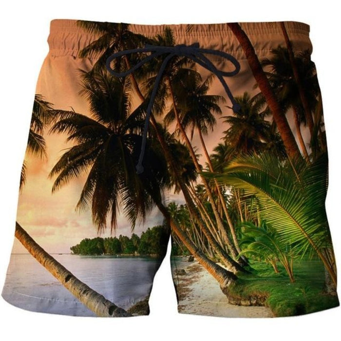 Palm Tree Sunrise Shorts