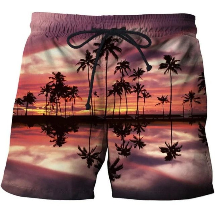 Reflection Of All Things Shorts